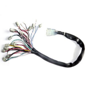 Cluster Wire Harness
